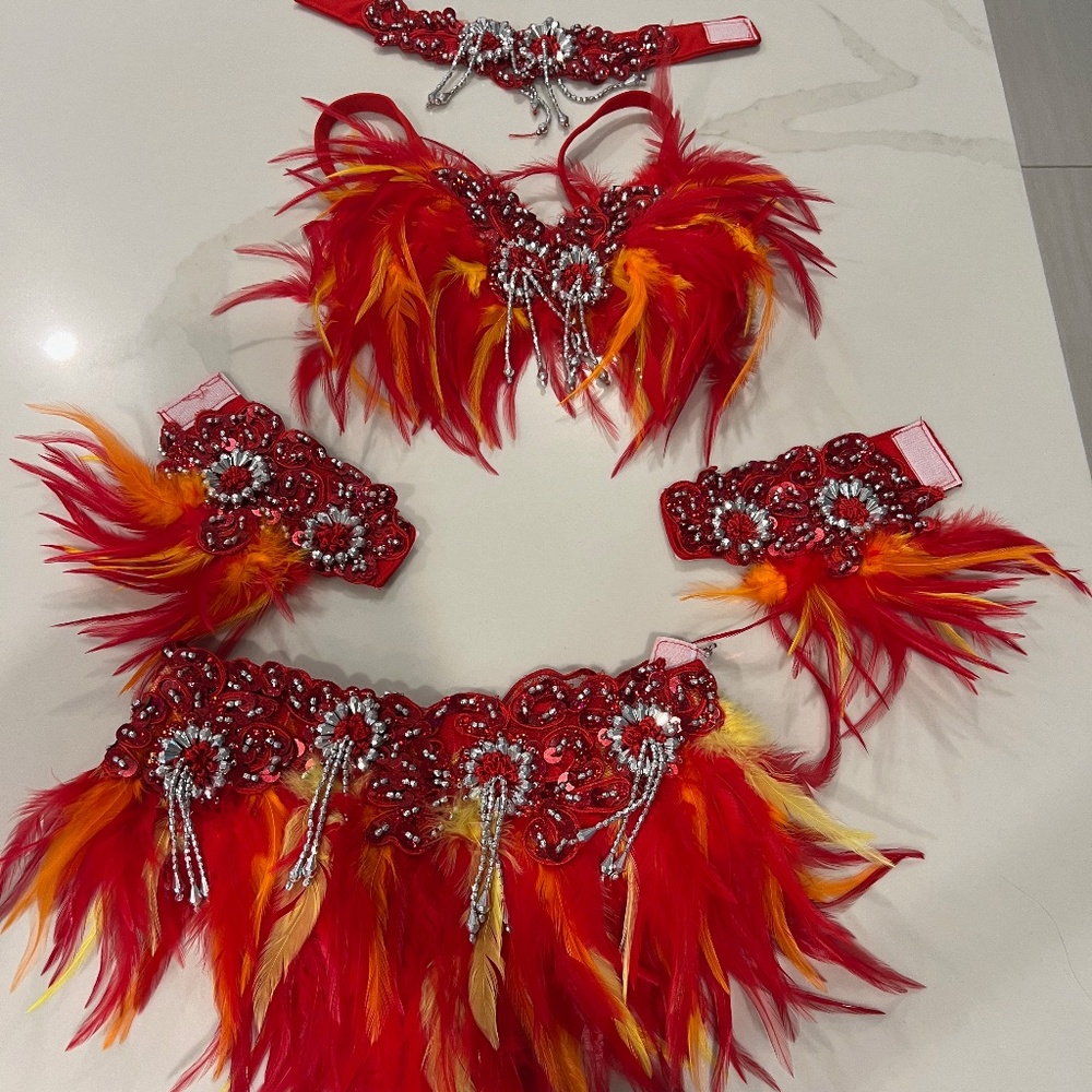 Dance Costume - CH SM Bird, red feathers, jazz, skirt (needs red briefs) and top